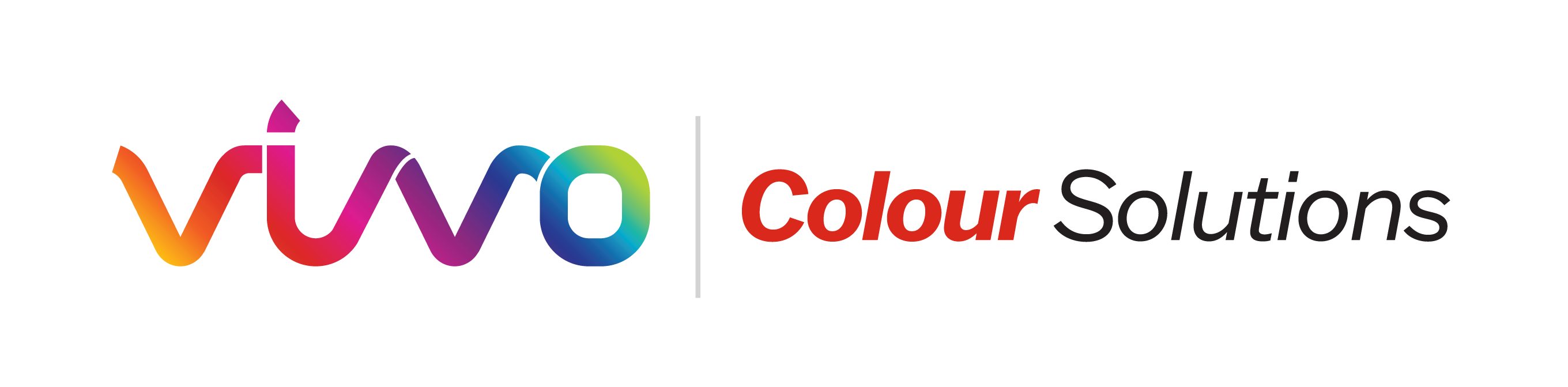 211310 Flint Vivo Colour Solutions Logo Landscape Master Rgb